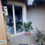 Appartamento arredato con terrazzo San Nicola la Strada