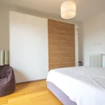 Rent 1 bedroom apartment in Milano