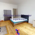 Rent 1 bedroom apartment in Saint-Étienne