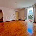 Rent 4 bedroom apartment of 100 m² in Bologna