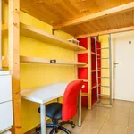 Rent a room of 85 m² in rome