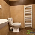 Rent 2 bedroom apartment in Brno