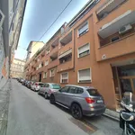 Affitto 5 camera appartamento di 115 m² in Trieste