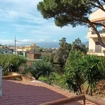 Rent 2 bedroom house of 70 m² in Messina