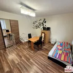 Rent 1 bedroom house of 260 m² in Włocławek