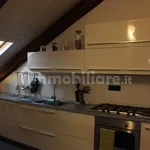 Rent 2 bedroom apartment of 106 m² in Turin