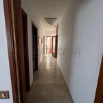 Affitto 5 camera appartamento di 150 m² in Bassano del Grappa