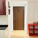 Rent 2 bedroom apartment of 45 m² in Milan