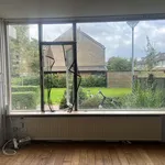 Rent 1 bedroom house of 17 m² in Groningen