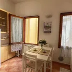 Rent 1 bedroom apartment of 60 m² in florence