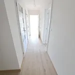 Rent 2 bedroom apartment of 62 m² in Trhový Štěpánov