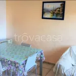 Rent 3 bedroom apartment of 60 m² in Porto San Giorgio