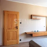 Rent 3 bedroom apartment of 73 m² in Zlín