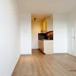 Rent 2 bedroom apartment in Praha 10