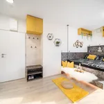 Rent 1 bedroom apartment of 32 m² in Brno