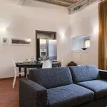 Rent 1 bedroom apartment of 60 m² in florence