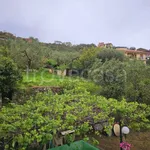 Rent 3 bedroom apartment of 80 m² in Chiavari