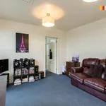 Rent 1 bedroom apartment in Dunedin