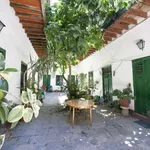 Rent 1 bedroom apartment of 50 m² in seville