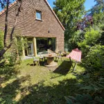 Rent 2 bedroom house of 500 m² in Diest