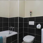 Rent 1 bedroom apartment of 60 m² in Prague