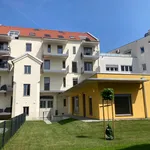 Rent 2 bedroom apartment of 60 m² in Graz