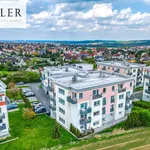 Rent 2 bedroom apartment in Plzeň