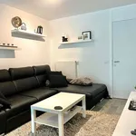 Rent 1 bedroom apartment in Bruges