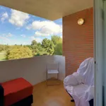 Alquilar 5 dormitorio apartamento en Madrid