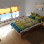 Rent 2 bedroom apartment of 40 m² in Bonn