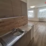 Rent 1 bedroom apartment of 32 m² in Ústí nad Labem