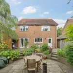 Rent 4 bedroom house in Winchester