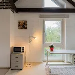 Rent 2 bedroom apartment of 40 m² in Berlin