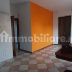 Rent 3 bedroom apartment of 82 m² in Verona