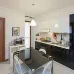 Rent 1 bedroom apartment in Rome