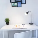 Rent 4 bedroom apartment in Marseille