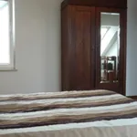 Rent 3 bedroom apartment of 63 m² in Piotrków Trybunalski