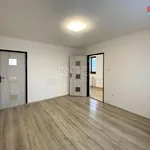 Rent 3 bedroom apartment of 60 m² in Ústí nad Orlicí