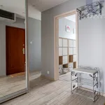 Rent 3 bedroom apartment of 56 m² in Łódź