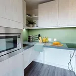 Rent 1 bedroom student apartment of 29 m² in London