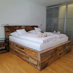 Rent 2 bedroom apartment of 89 m² in Schöneck