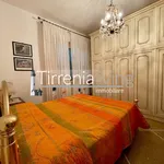 Rent 2 bedroom apartment of 45 m² in Pisa