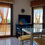 Rent 2 bedroom apartment of 50 m² in Florence