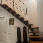 Rent 1 bedroom house of 70 m² in Turin