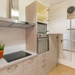 Rent 5 bedroom apartment in Turin