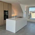 Rent 2 bedroom apartment in Rumst