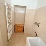 Rent 1 bedroom apartment of 33 m² in Brno