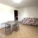 Rent 2 bedroom apartment of 55 m² in Velletri