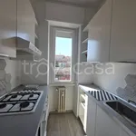 Rent 2 bedroom apartment of 55 m² in Milano