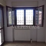 Rent 2 bedroom apartment of 45 m² in Mentana